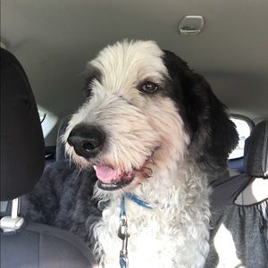 Meet your Posher, Karen